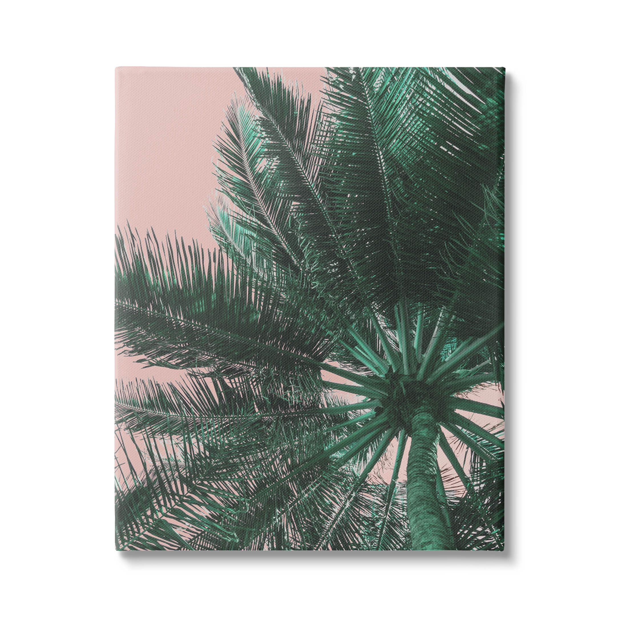Stupell Industries Summer Overhead Palm Tree Photograph Gallery Wrapped Canvas Print Wall Art, Design by Lil' Rue