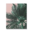 thumbnail image 1 of Stupell Industries Summer Overhead Palm Tree Photograph Gallery Wrapped Canvas Print Wall Art, Design by Lil' Rue, 1 of 7