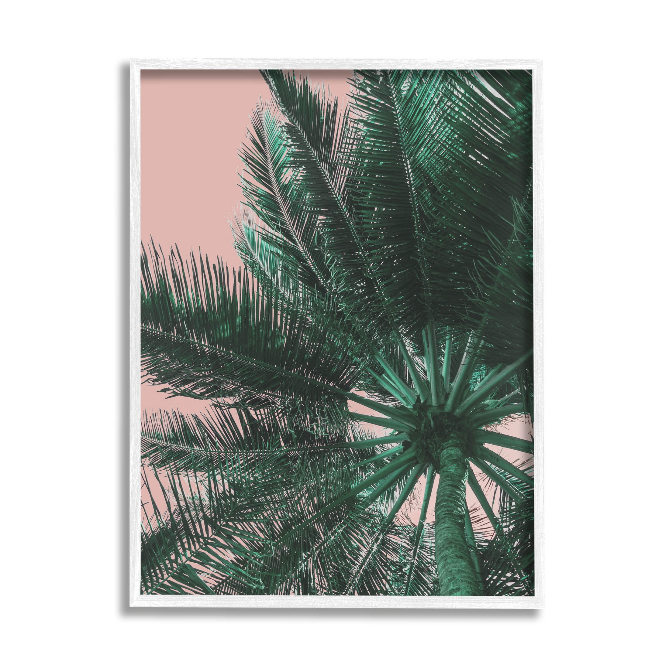 Stupell Industries Summer Overhead Palm Tree Photograph White Framed Art Print Wall Art, Design by Lil' Rue