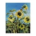 thumbnail image 1 of Stupell Industries Summer Sky Sunflower Field Contemporary Farm Florals Floral & Botanical Painting Wrapped Canvas Canvas Art Print Wall Art, 24 x 30, 1 of 7