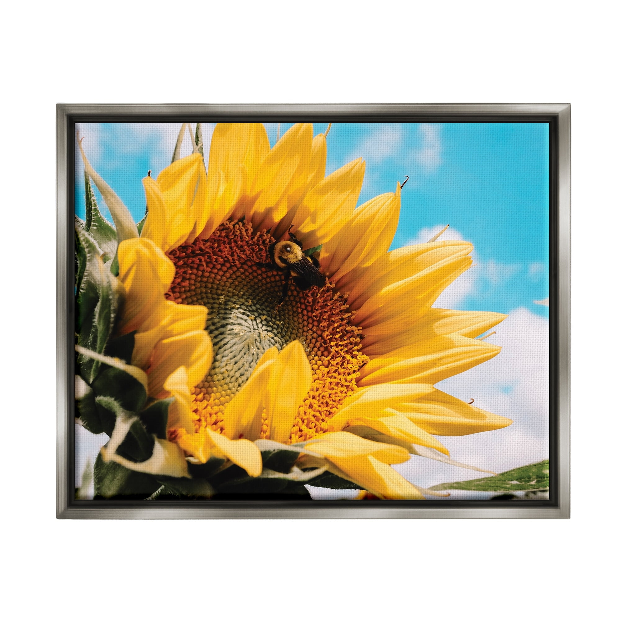 Stupell Industries Summer Sunflower Blossom Pollinating Honey Bee Photography Photograph Luster Gray Floating Framed Canvas Print Wall Art, Design by Hey Bre! Creative Studio