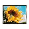 thumbnail image 1 of Stupell Industries Summer Sunflower Blossom Pollinating Honey Bee Photography Photograph Luster Gray Floating Framed Canvas Print Wall Art, Design by Hey Bre! Creative Studio, 1 of 5