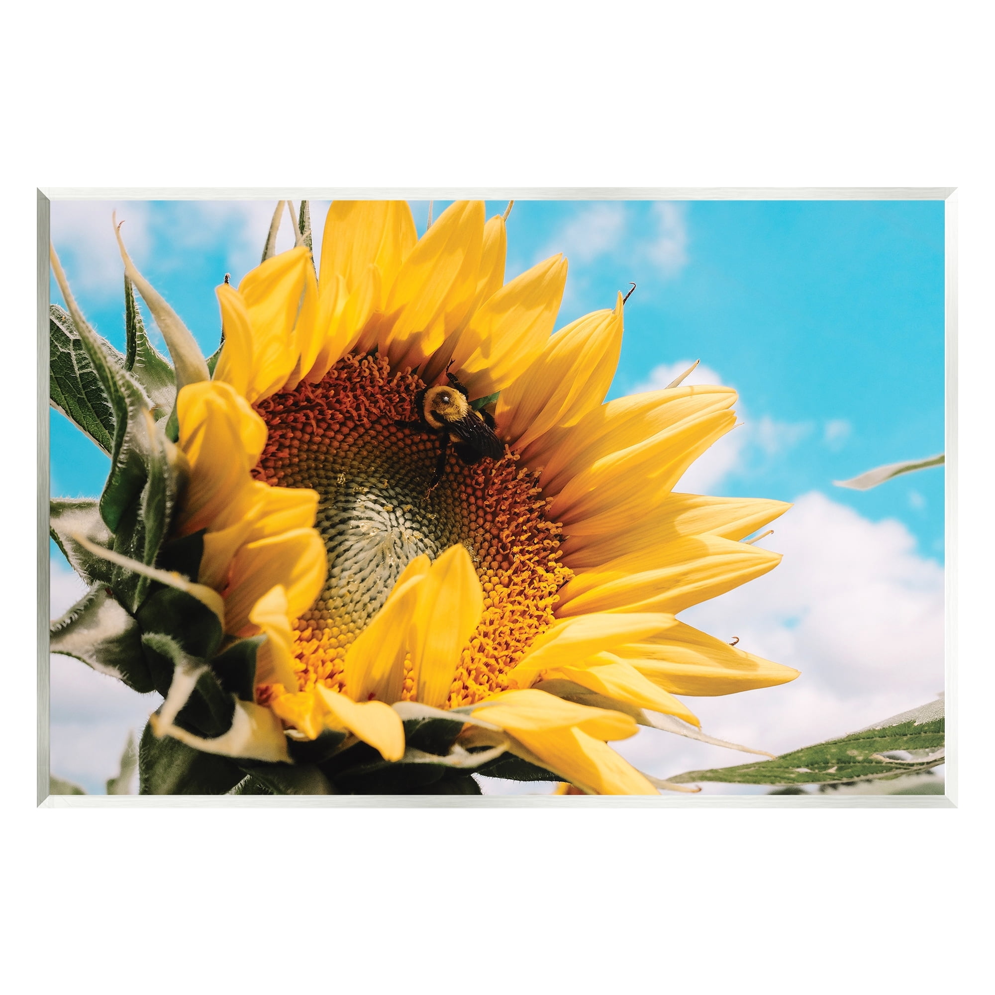 Stupell Industries Summer Sunflower Blossom Pollinating Honey Bee Photography Photograph Unframed Art Print Wall Art, Design by Hey Bre! Creative Studio