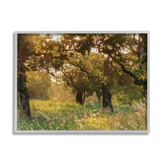 Stupell Industries Summer Sunlight Forest Trees Wild Tall Grass, 11 x 14, Designed by Nancy Crowell