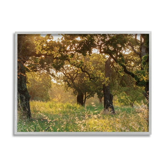 Stupell Industries Summer Sunlight Forest Trees Wild Tall Grass, 24 x 30, Designed by Nancy Crowell
