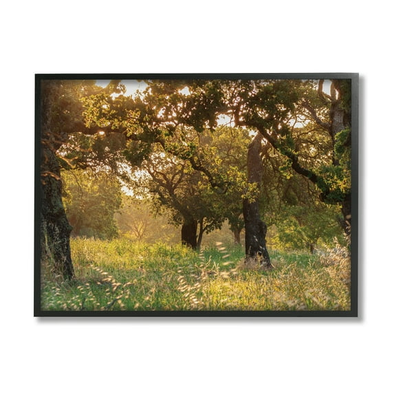 Stupell Industries Summer Sunlight Forest Trees Wild Tall Grass, 24 x 30, Designed by Nancy Crowell