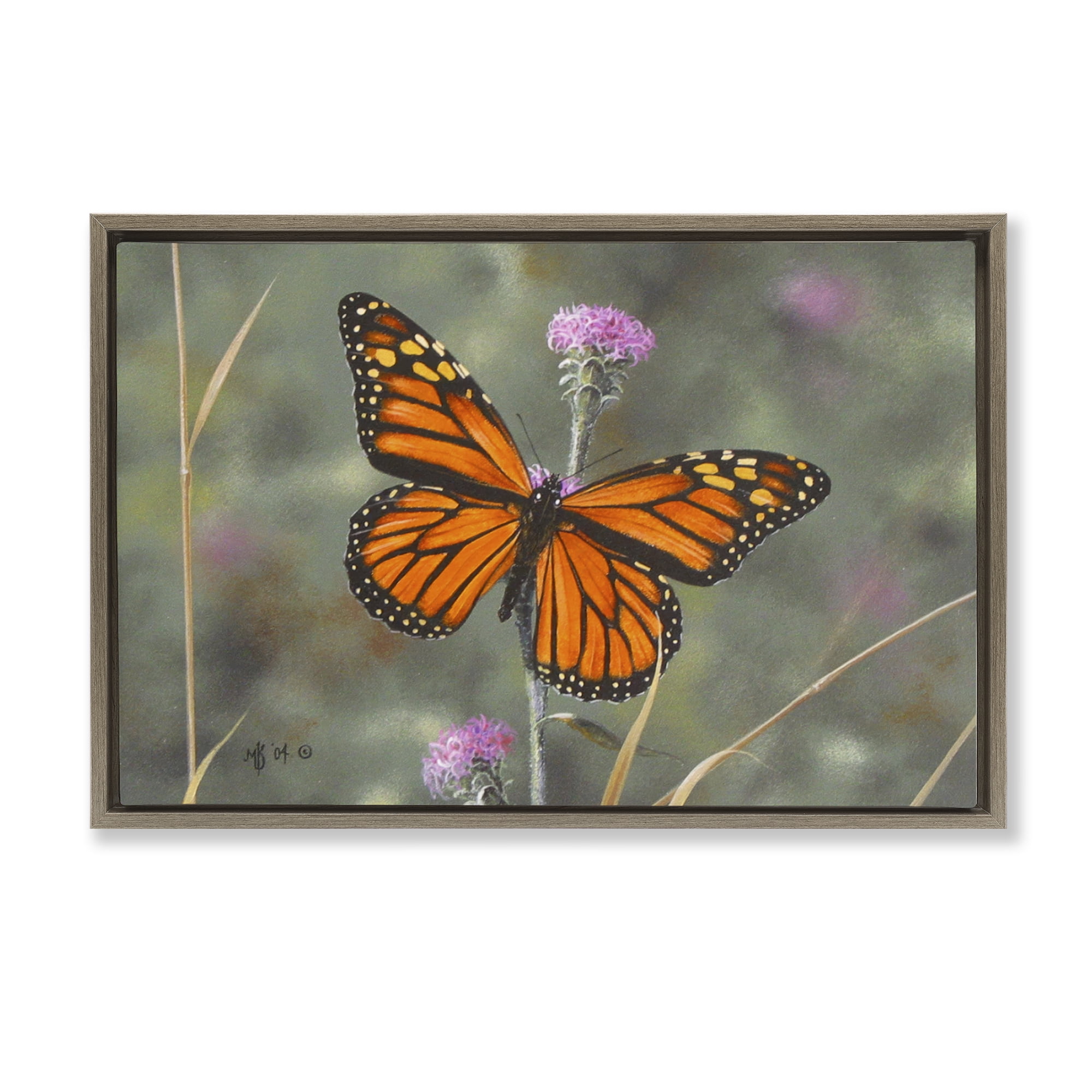 Stupell Industries Summer Visitor Butterfly Animals Photography Brown Floater Framed Canvas Art Print Wall Art, 25 x 17