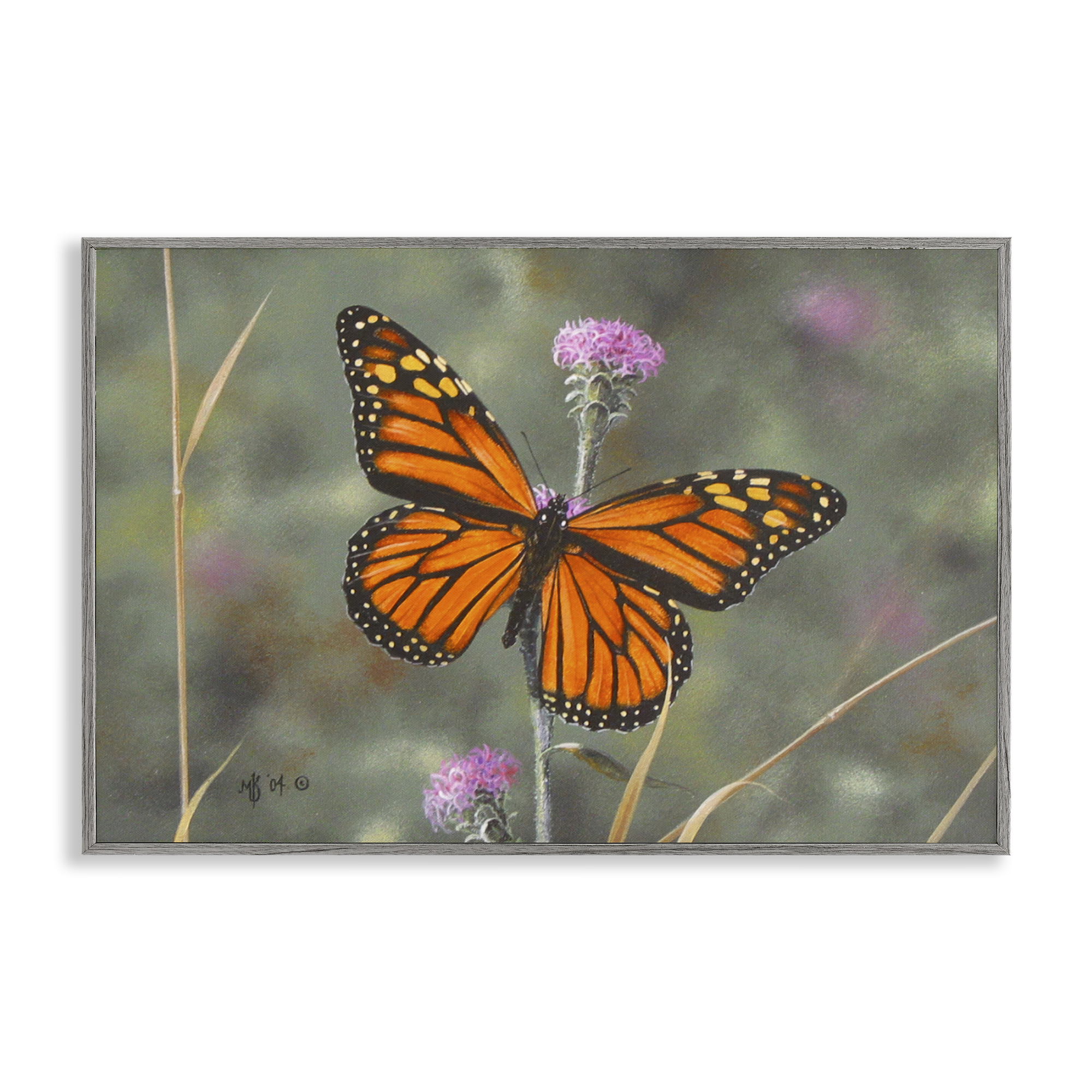 Stupell Industries Summer Visitor Butterfly Animals Photography Gray Framed Art Print Wall Art, 30 x 20