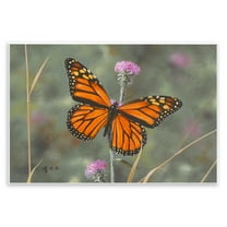 Stupell Industries Summer Visitor Butterfly Animals Photography Unframed Art Print Wall Art, 15 x 10