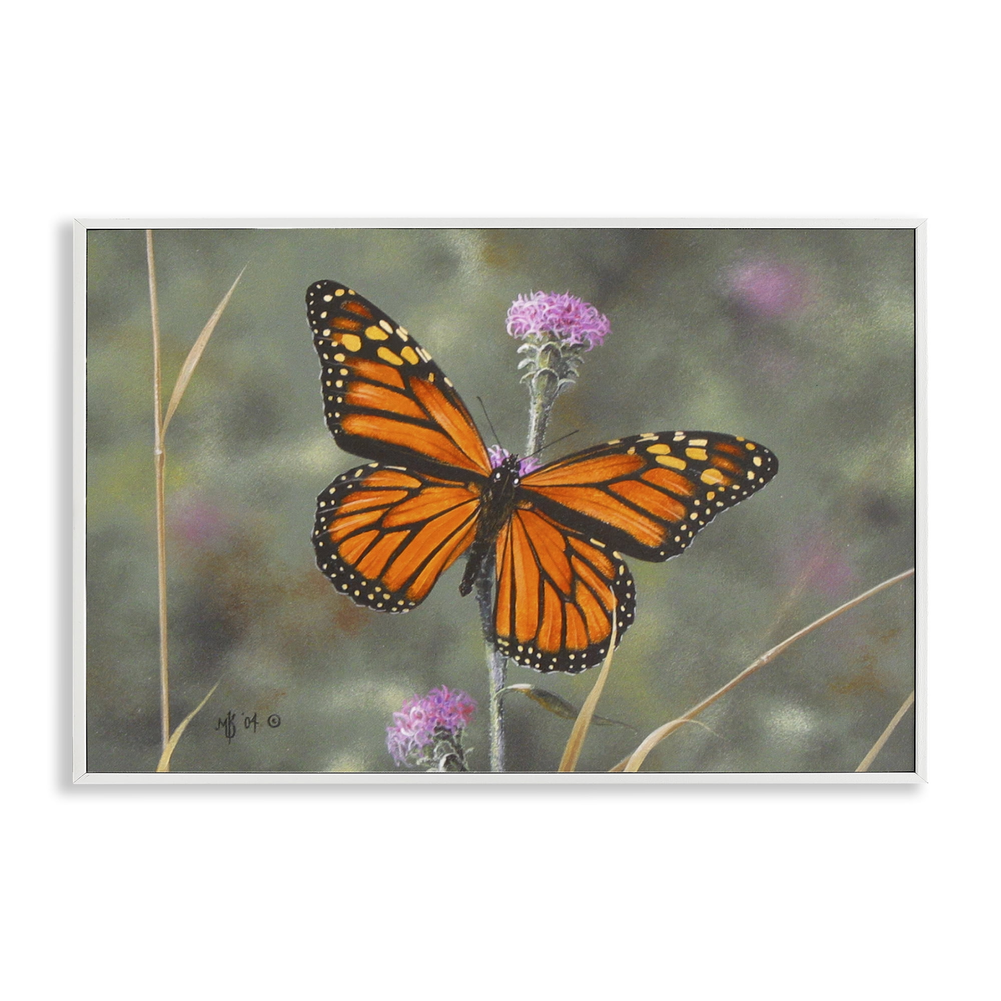 Stupell Industries Summer Visitor Butterfly Animals Photography White Framed Art Print Wall Art, 24 x 16