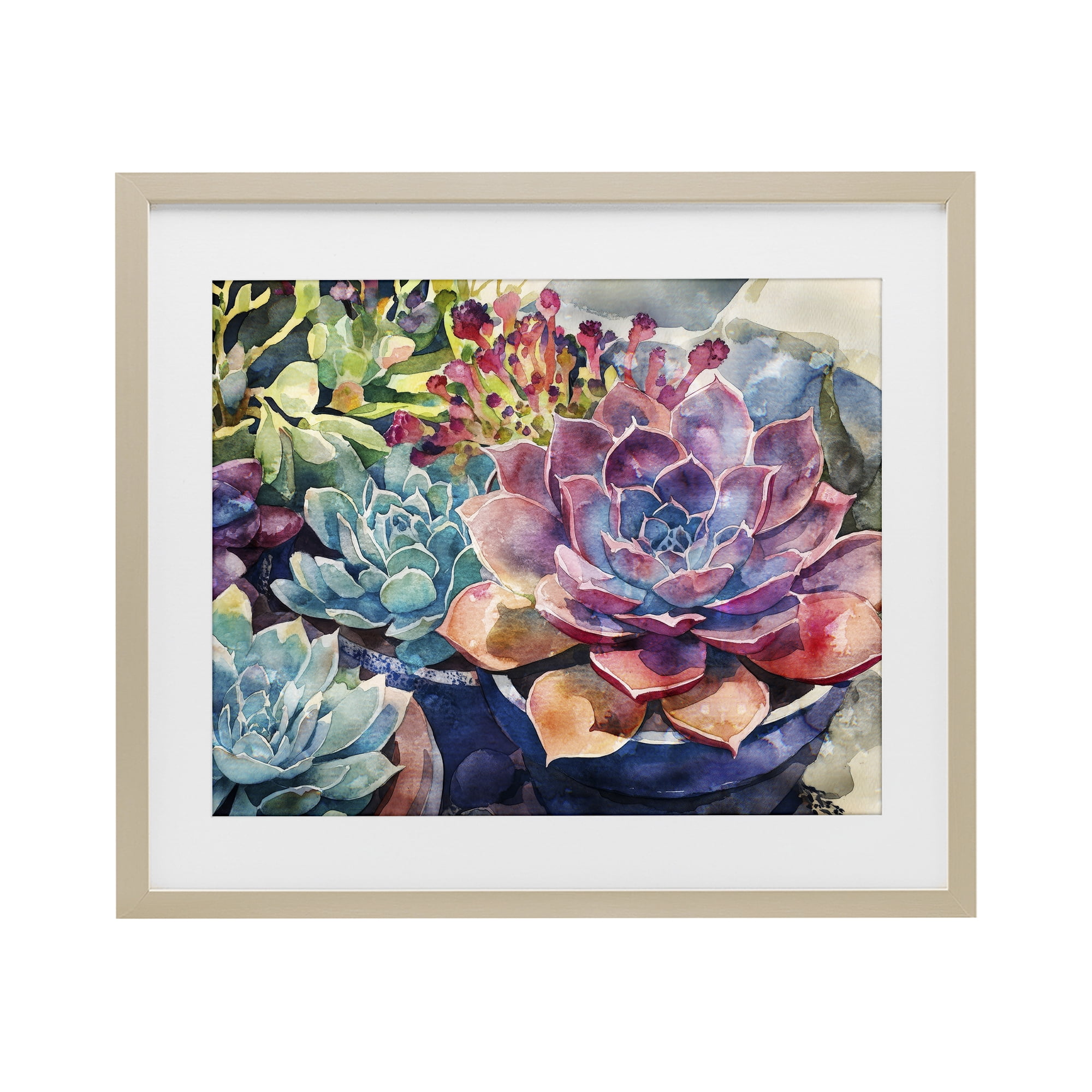 Stupell Industries Sun Kissed Succulents Birch Framed Print Under Glass, design by Svetlana Aleynikova