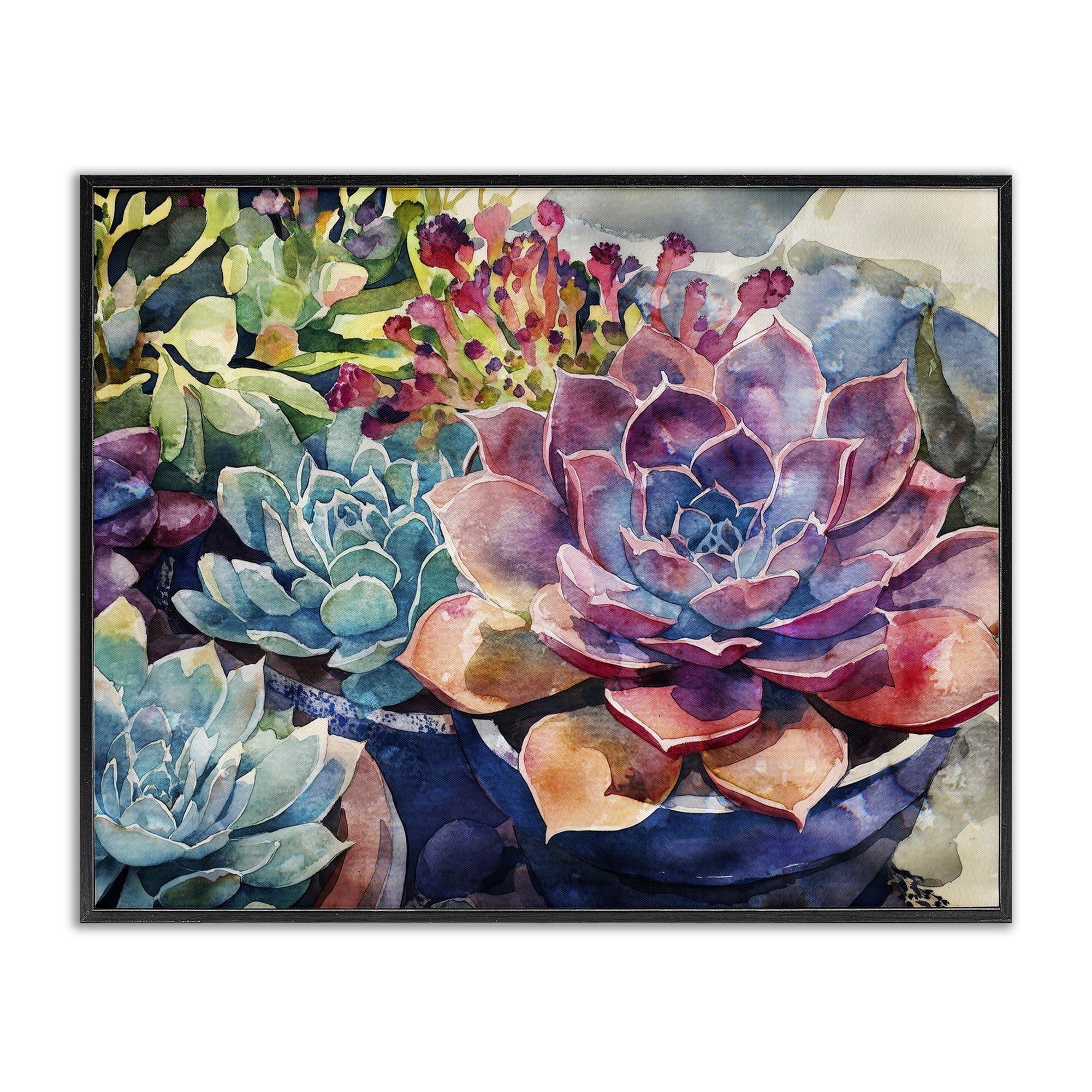 Stupell Industries Sun Kissed Succulents Black Framed Giclee Art, design by Svetlana Aleynikova