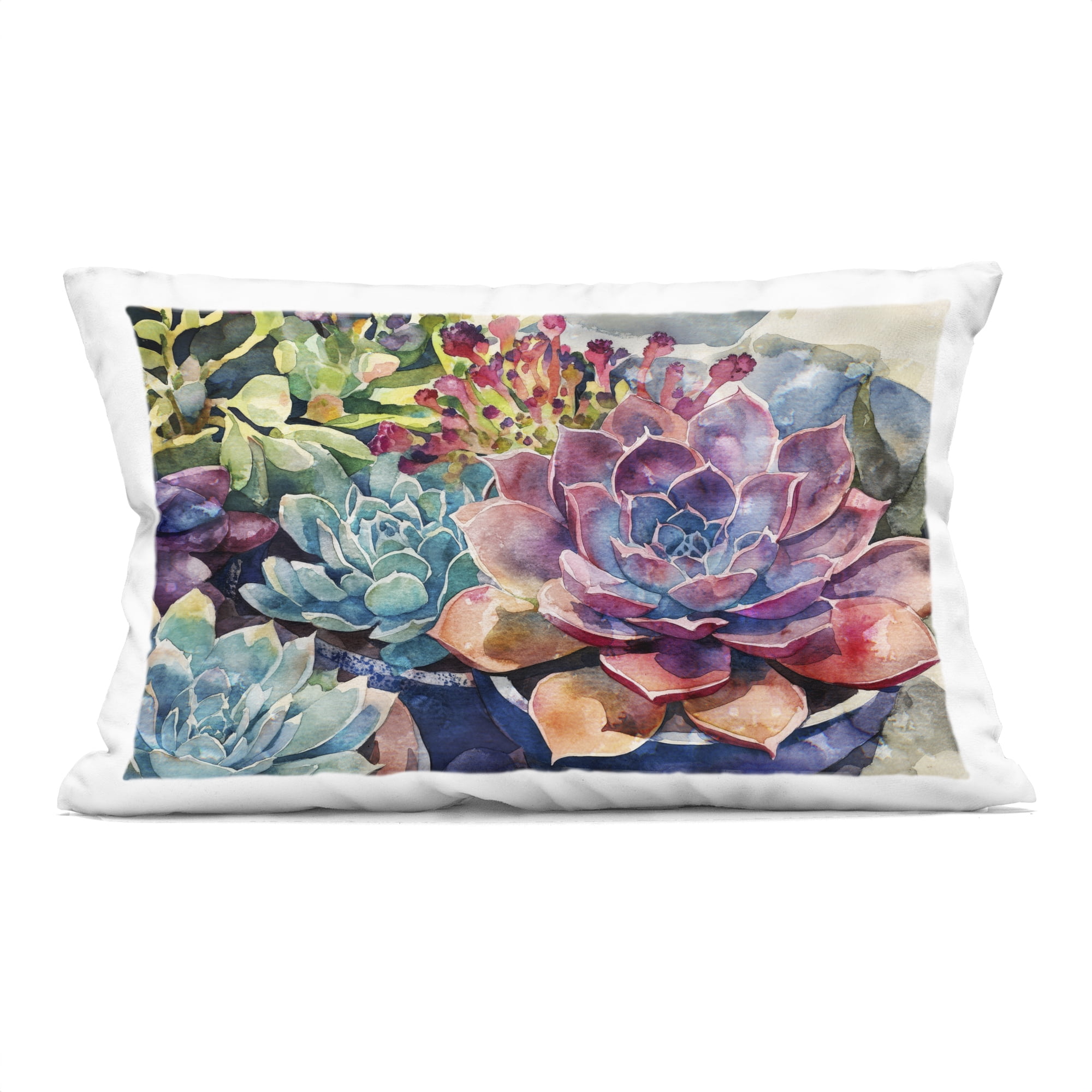 Stupell Industries Sun Kissed Succulents Decorative Printed Throw Pillow, design by Svetlana Aleynikova