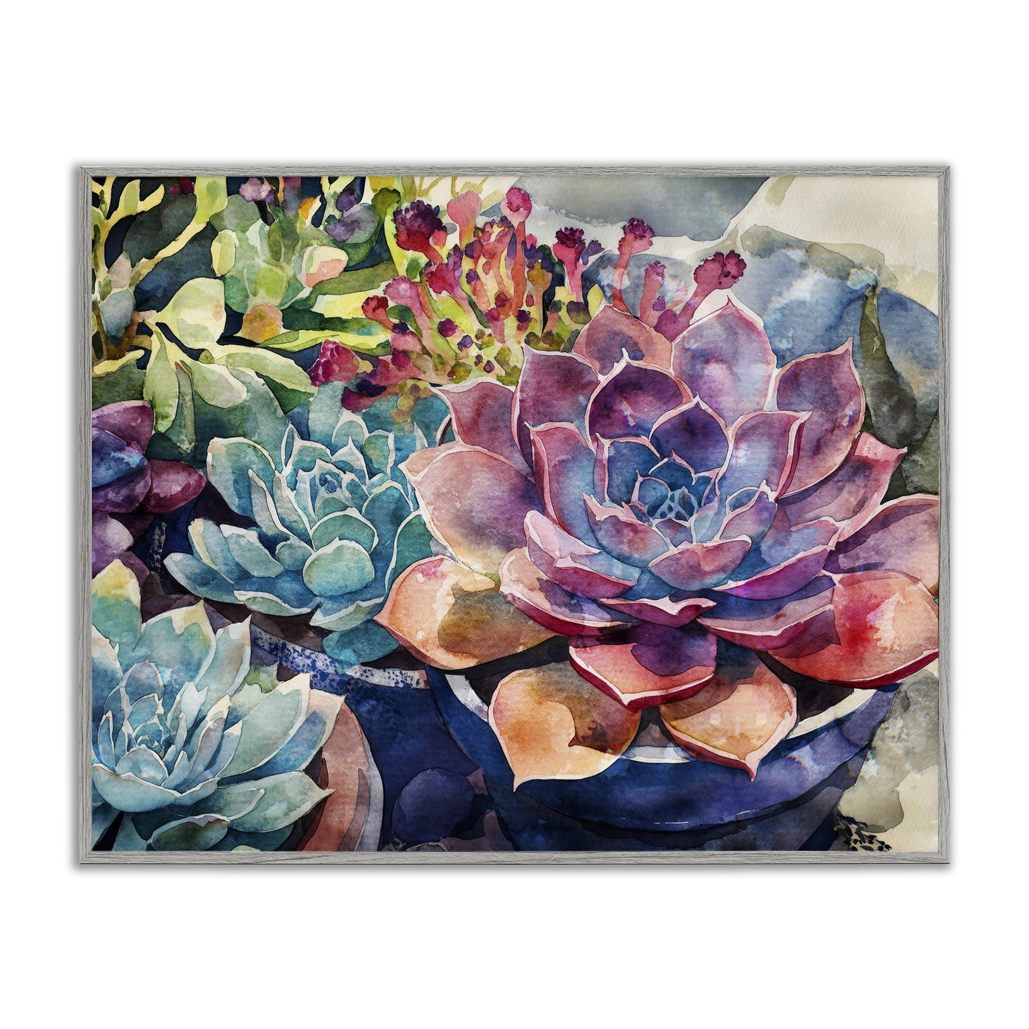 Stupell Industries Sun Kissed Succulents Gray Framed Giclee Art, design by Svetlana Aleynikova