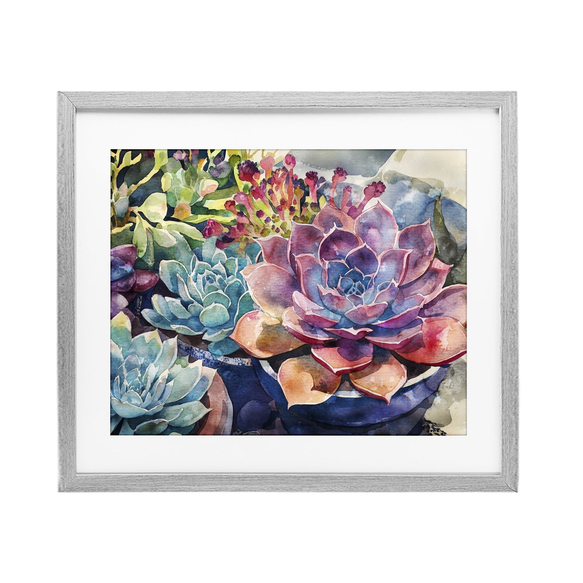Stupell Industries Sun Kissed Succulents Gray Framed Print Under Glass, design by Svetlana Aleynikova