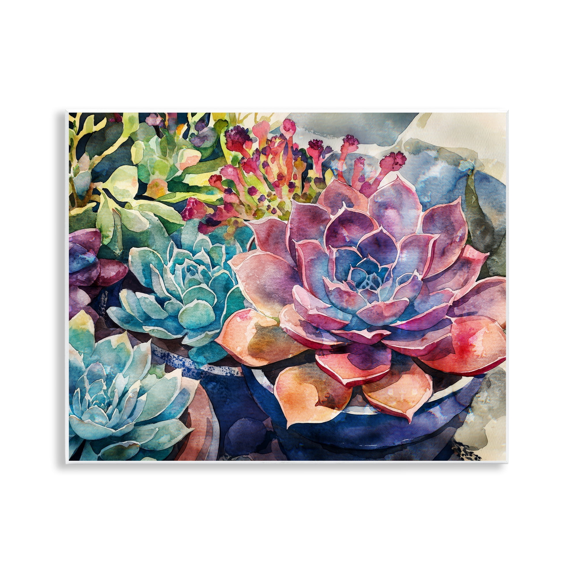 Stupell Industries Sun Kissed Succulents Wall Plaque Art, design by Svetlana Aleynikova