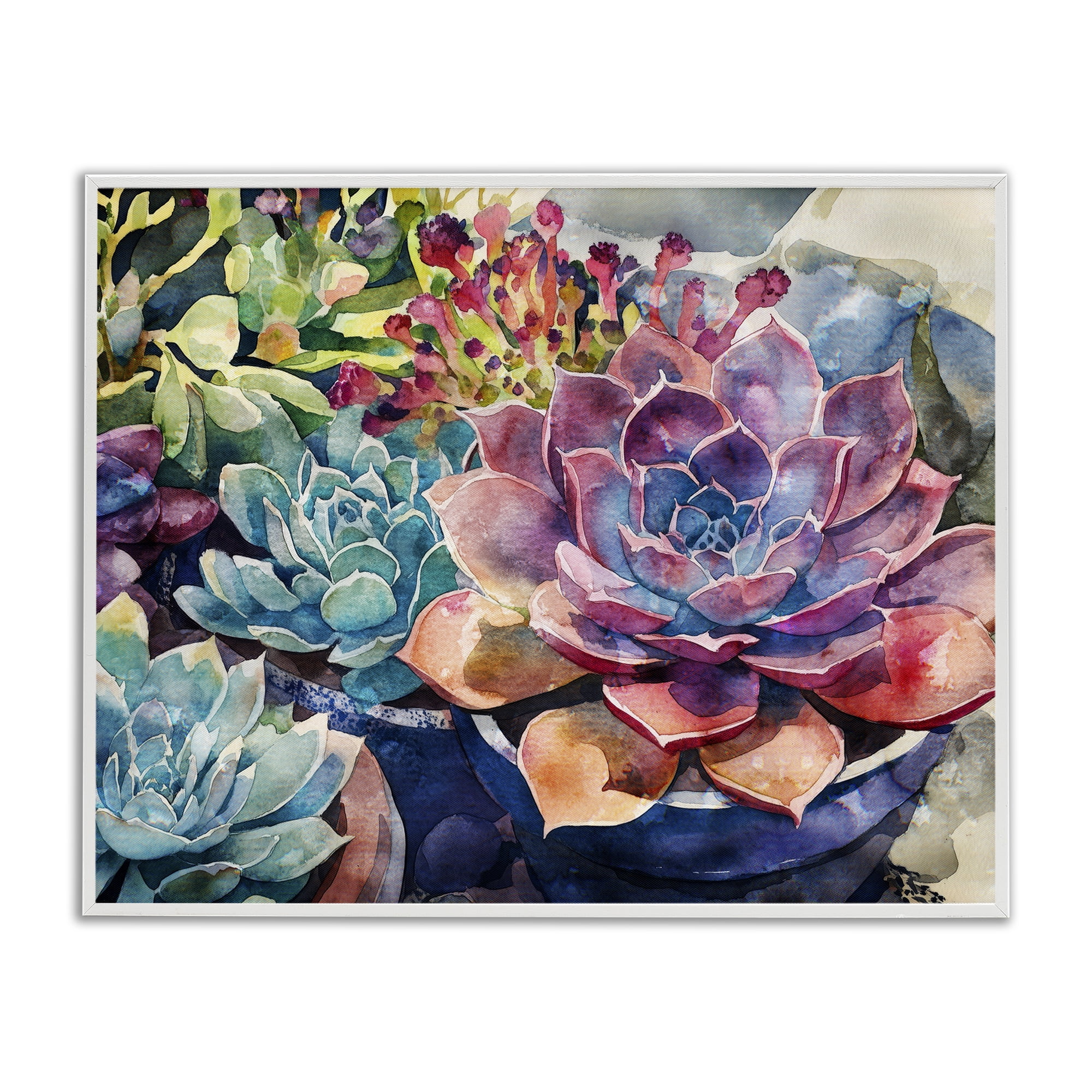 Stupell Industries Sun Kissed Succulents White Framed Giclee Art, design by Svetlana Aleynikova