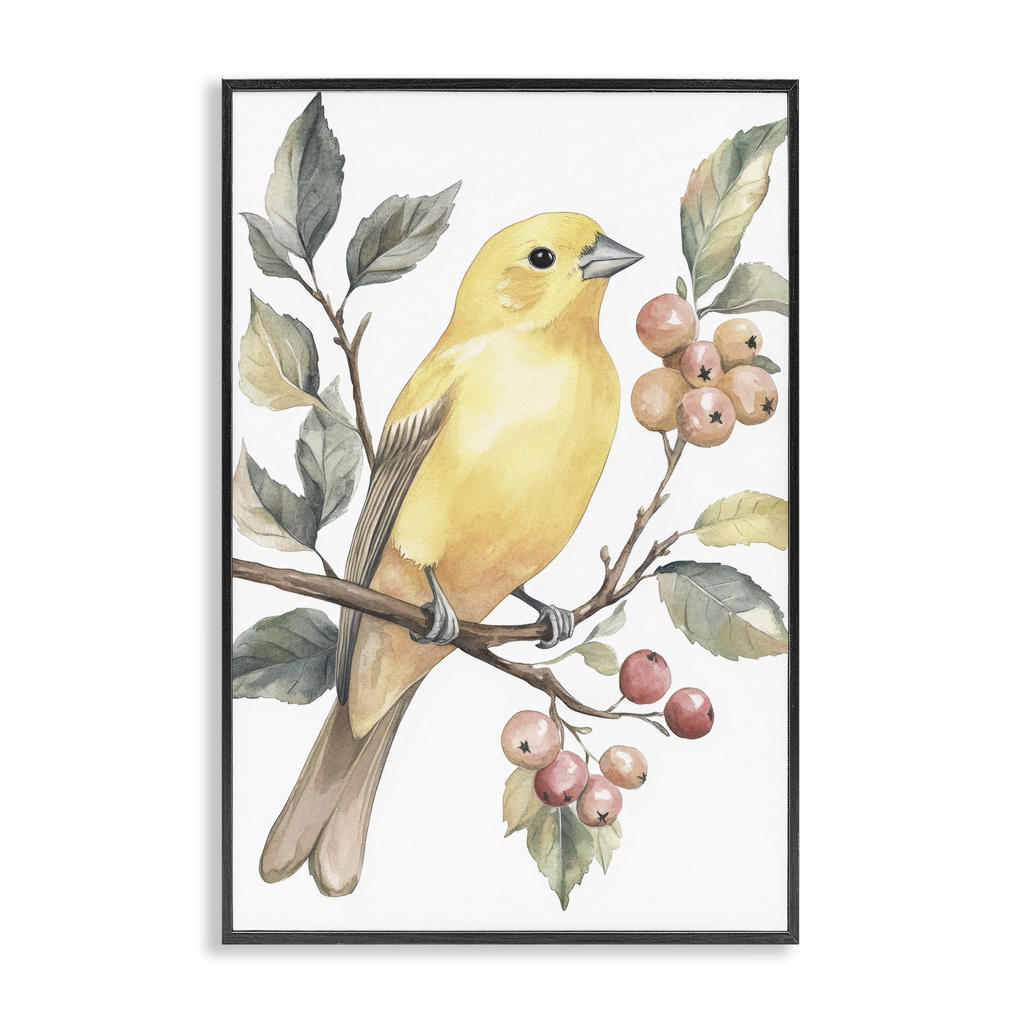 Stupell Industries Sun Lit Bird on Branch Black Framed Giclee Art, design by Petal Prints Design