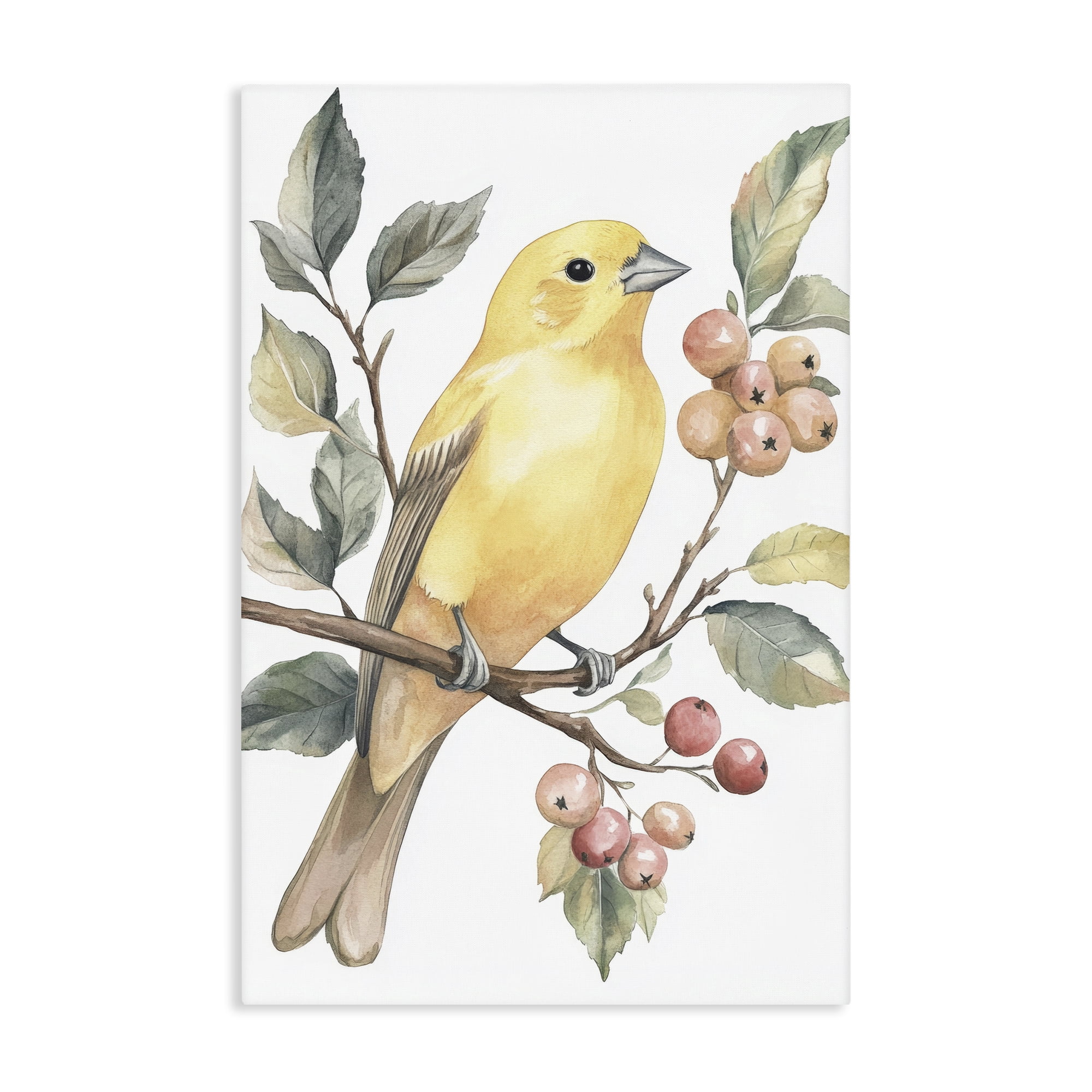 Stupell Industries Sun Lit Bird on Branch Canvas Wall Art, design by Petal Prints Design