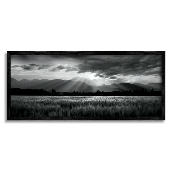 Stupell Industries Sun Rays Field Landscape Landscape Photography Black Framed Art Print Wall Art, 24 x 10
