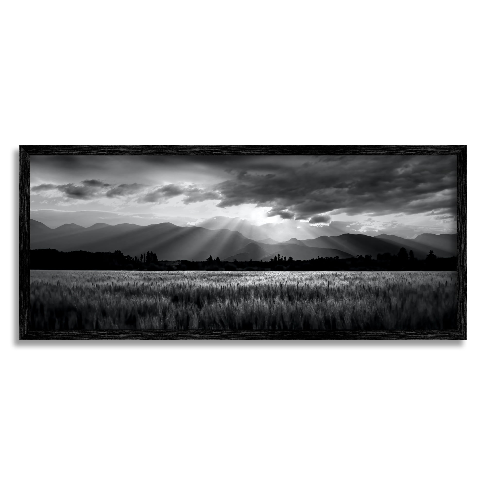 Stupell Industries Sun Rays Field Landscape Landscape Photography Black Framed Art Print Wall Art, 30 x 13