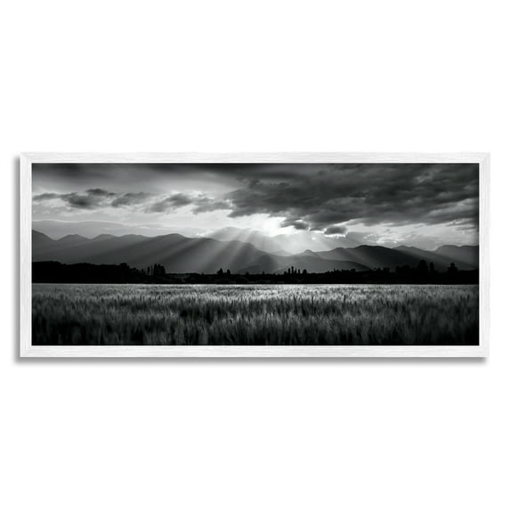 Stupell Industries Sun Rays Field Landscape Landscape Photography White Framed Art Print Wall Art, 24 x 10