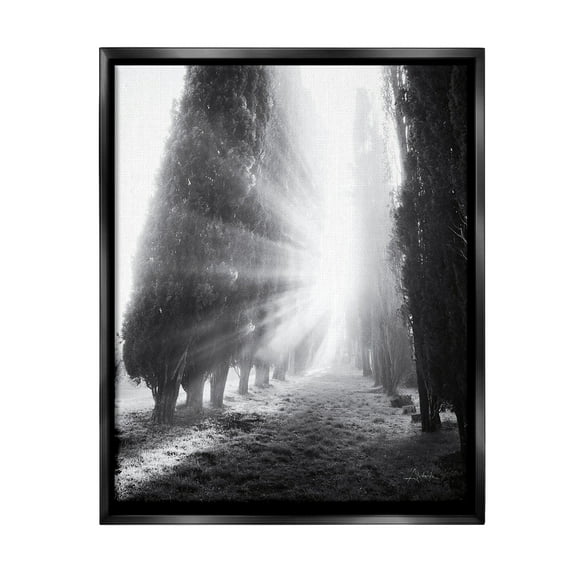 Stupell Industries Sun Rays & Hedge Grove Landscape Photography Black Floater Framed Canvas Art Print Wall Art, 17 x 21