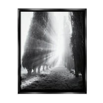Stupell Industries Sun Rays & Hedge Grove Landscape Photography Black Floater Framed Canvas Art Print Wall Art, 17 x 21