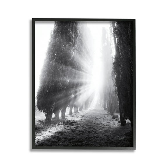 Stupell Industries Sun Rays & Hedge Grove Landscape Photography Black Framed Art Print Wall Art, 11 x 14