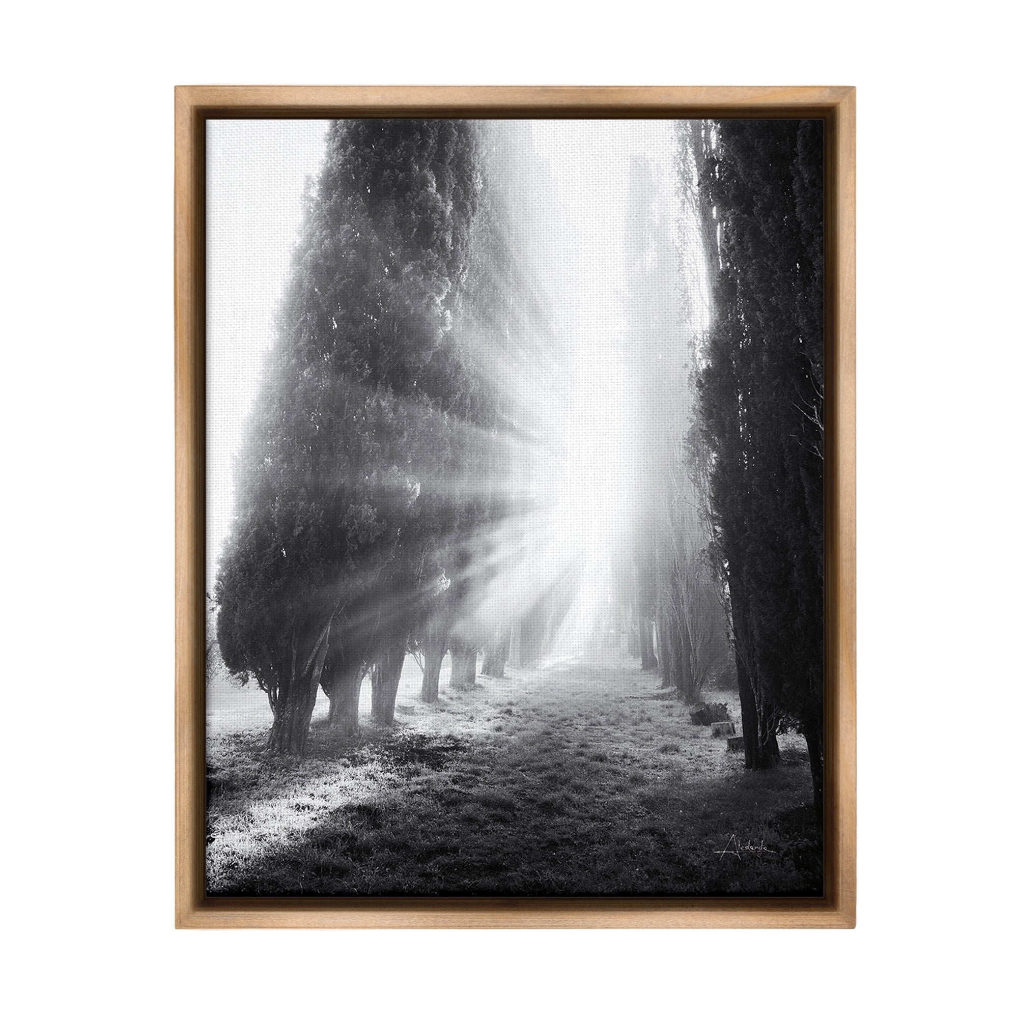 Stupell Industries Sun Rays & Hedge Grove Landscape Photography Brown Floater Framed Canvas Art Print Wall Art, 17 x 21