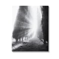 thumbnail image 1 of Stupell Industries Sun Rays & Hedge Grove Landscape Photography Gallery Wrapped Canvas Art Print Wall Art, 16 x 20, 1 of 8
