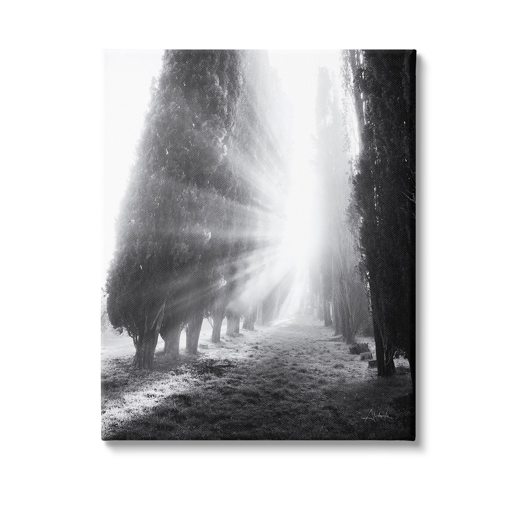 Stupell Industries Sun Rays & Hedge Grove Landscape Photography Gallery Wrapped Canvas Art Print Wall Art, 30 x 40
