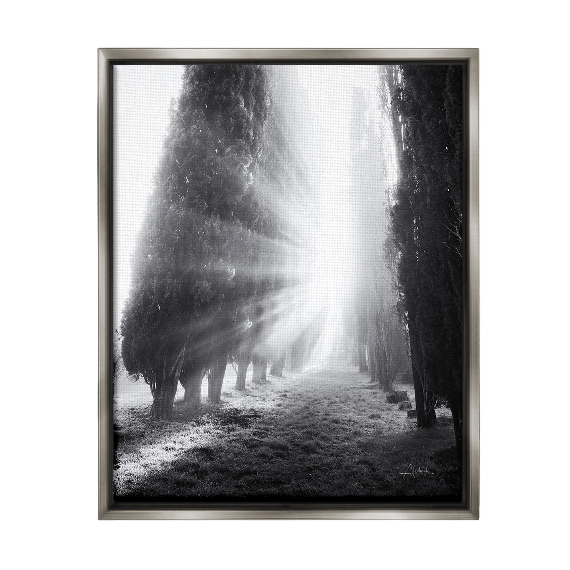 Stupell Industries Sun Rays & Hedge Grove Landscape Photography Gray Floater Framed Canvas Art Print Wall Art, 17 x 21