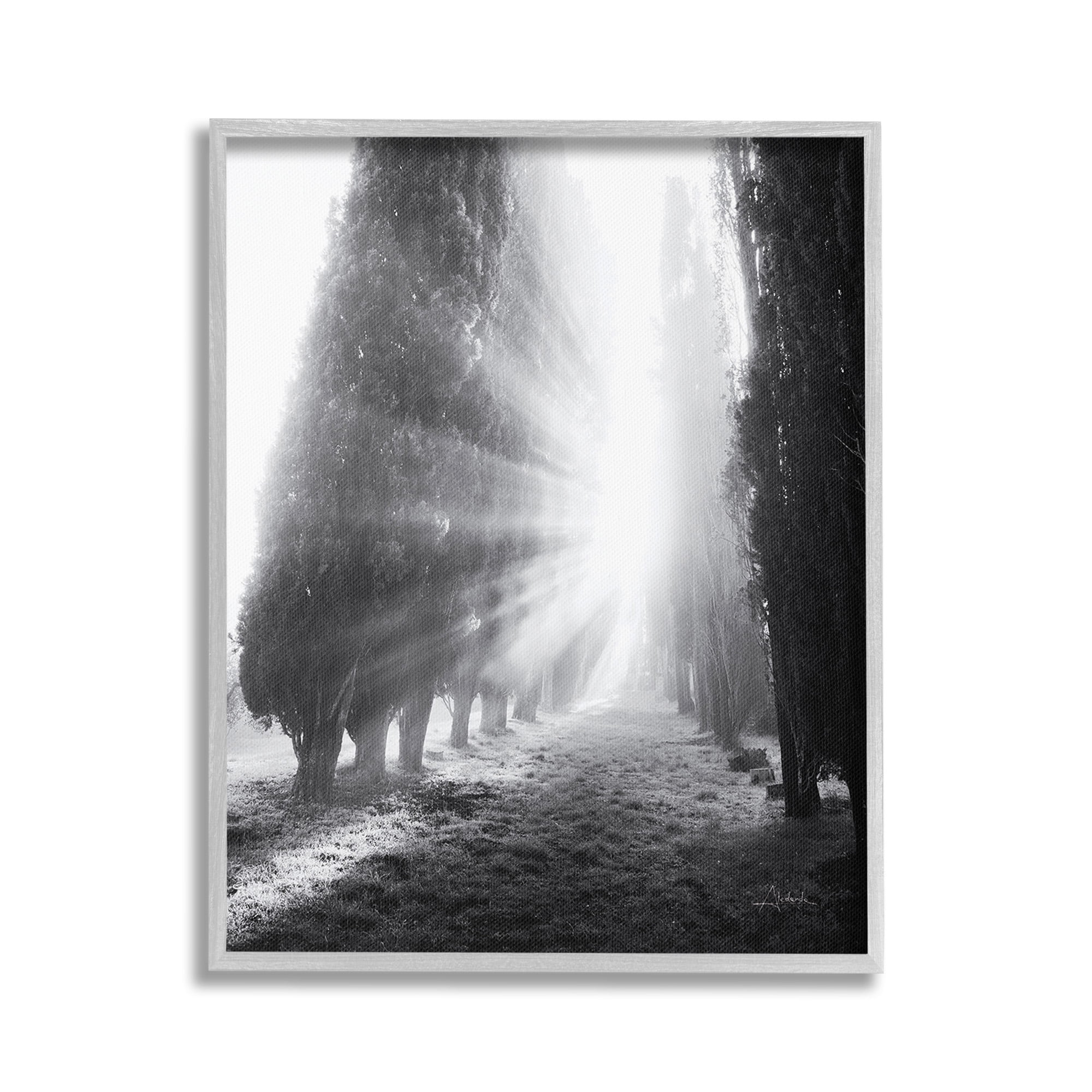 Stupell Industries Sun Rays & Hedge Grove Landscape Photography Gray Framed Art Print Wall Art, 24 x 30
