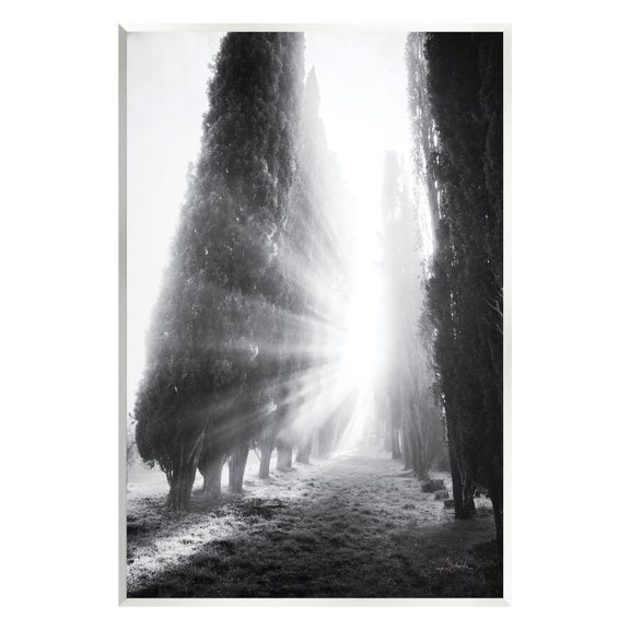 Stupell Industries Sun Rays & Hedge Grove Landscape Photography Unframed Art Print Wall Art, 10 x 15