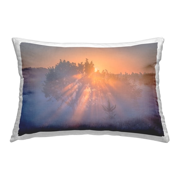Stupell Industries Sun Rays Peeking Landscape Decorative Printed Throw Pillow Design by Marty Hulsebos.