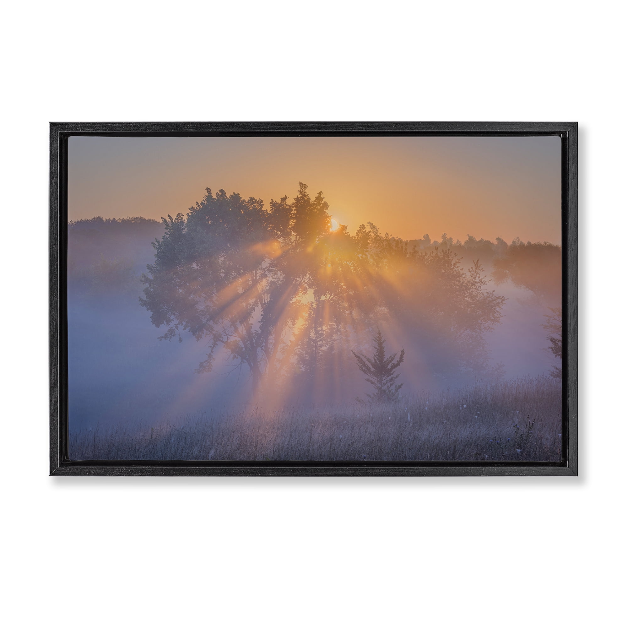 Stupell Industries Sun Rays Peeking Landscape Landscape & Nature Photography Black Floater Framed Canvas Art Print Wall Art, 25 x 17