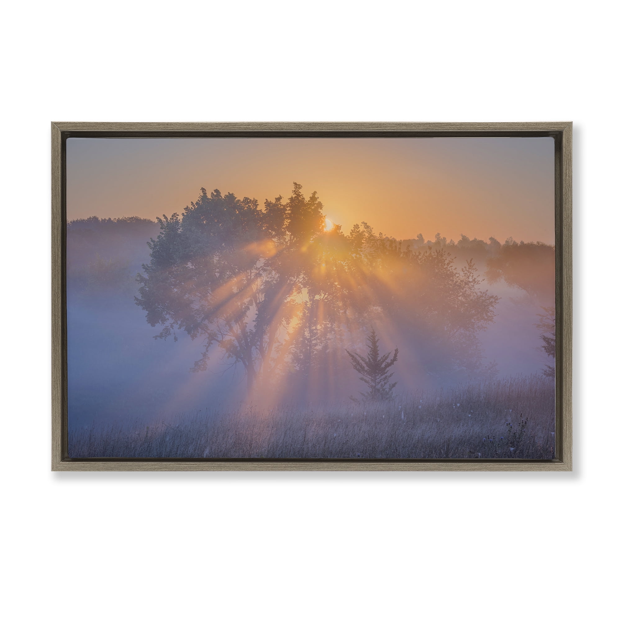 Stupell Industries Sun Rays Peeking Landscape Landscape & Nature Photography Brown Floater Framed Canvas Art Print Wall Art, 25 x 17