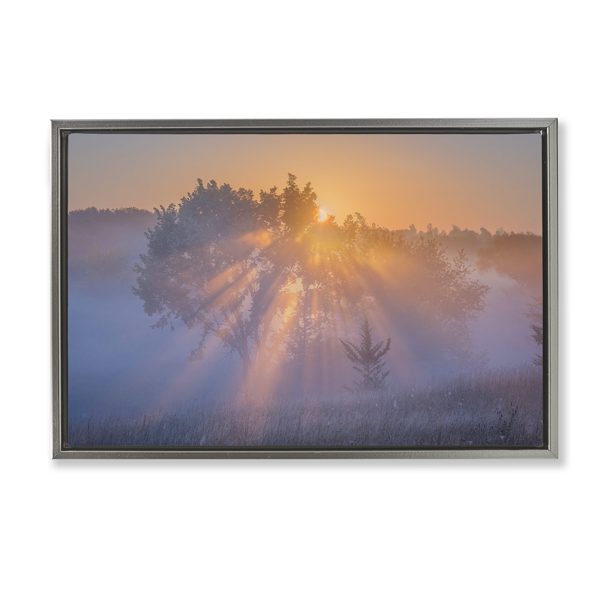 Stupell Industries Sun Rays Peeking Landscape Landscape & Nature Photography Gray Floater Framed Canvas Art Print Wall Art, 31 x 21