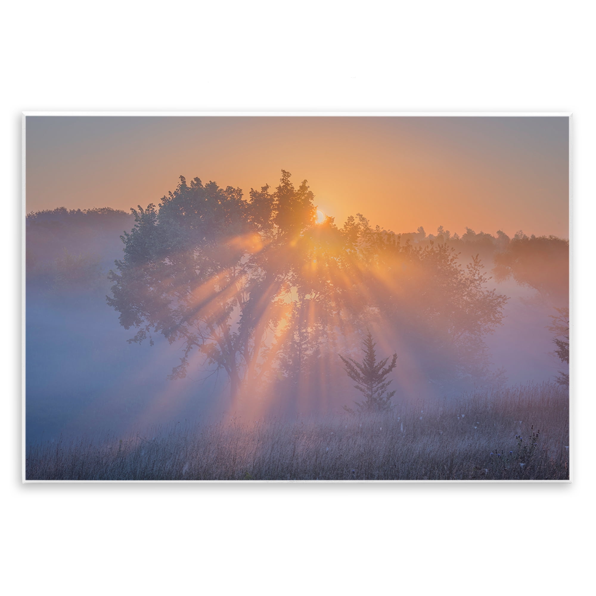 Stupell Industries Sun Rays Peeking Landscape Landscape & Nature Photography Unframed Art Print Wall Art, 15 x 10