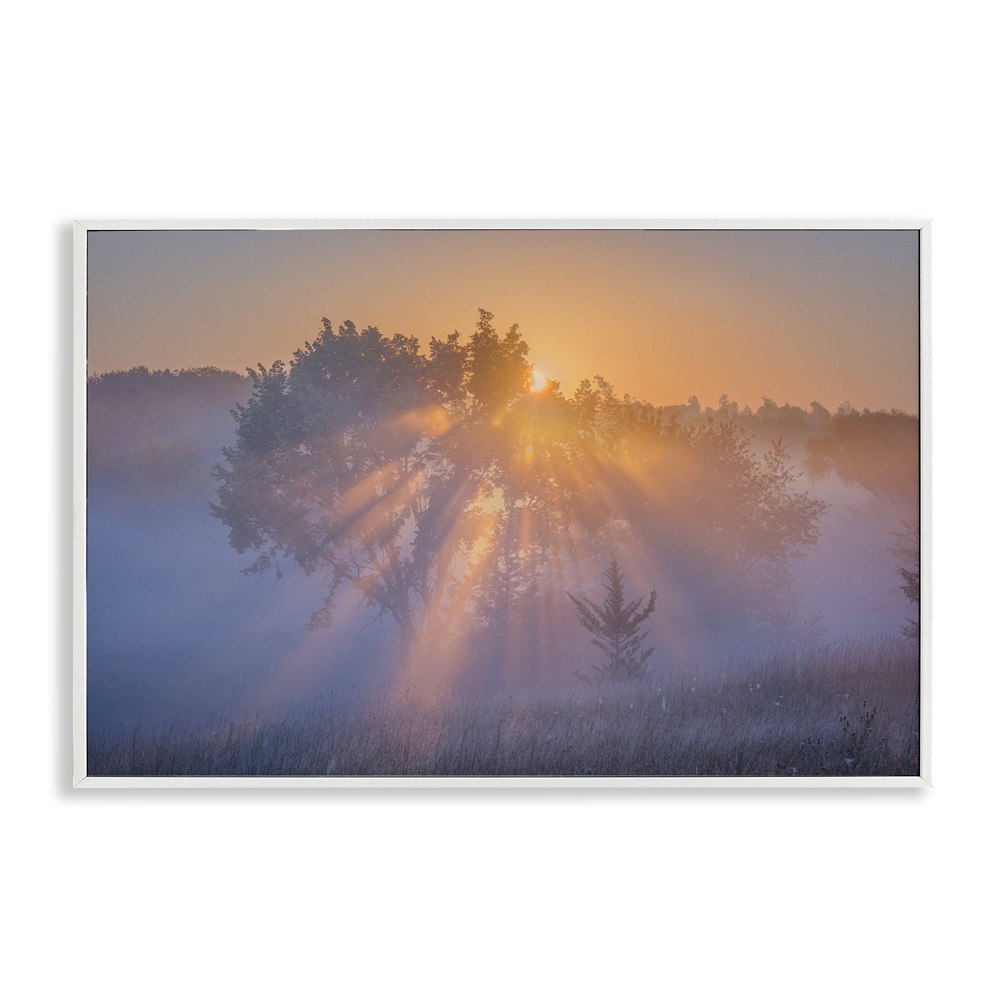 Stupell Industries Sun Rays Peeking Landscape Landscape & Nature Photography White Framed Art Print Wall Art, 30 x 20
