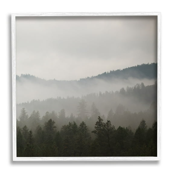 Stupell Industries Sun Rays Through Fog Over Woodland Mountain Hills Photograph White Framed Art Print Wall Art, Design by Carol Robinson