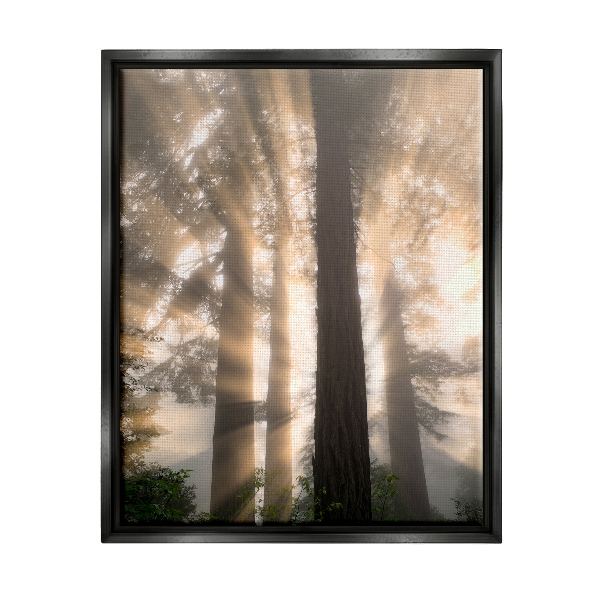 Stupell Industries Sun Rays Woodland Trees View Landscape Photography Black Floater Framed Art Print Wall Art