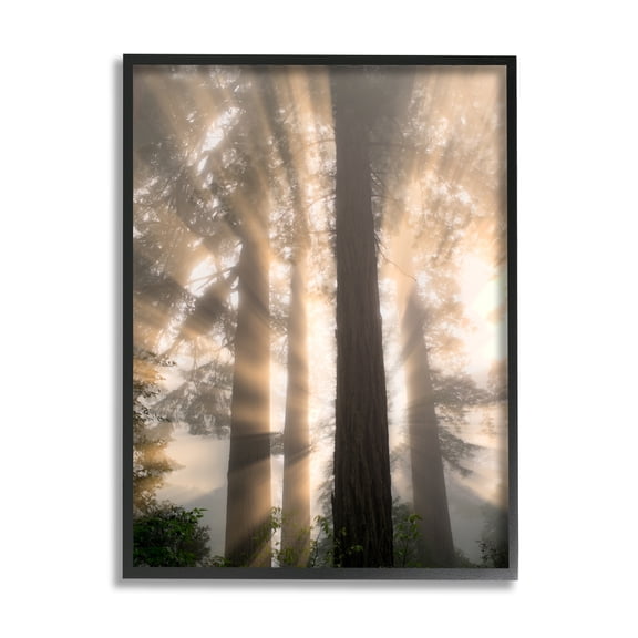 Stupell Industries Sun Rays Woodland Trees View Landscape Photography Black Framed Art Print Wall Art