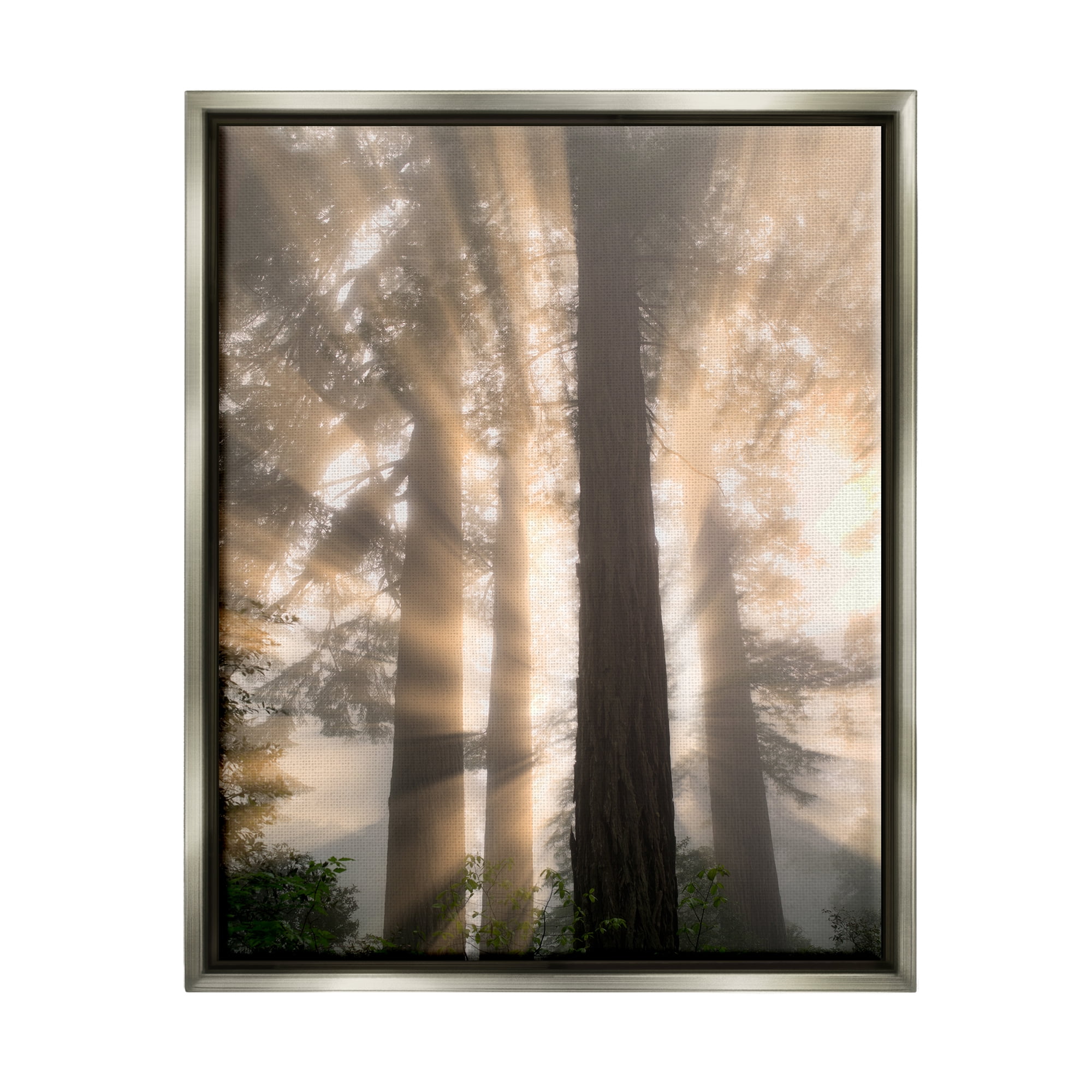 Stupell Industries Sun Rays Woodland Trees View Landscape Photography Gray Floater Framed Art Print Wall Art