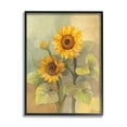 thumbnail image 1 of Stupell Industries Sunflower Bloom Soft Yellow Summer Petals Black Framed by Albena Hristova, 1 of 5