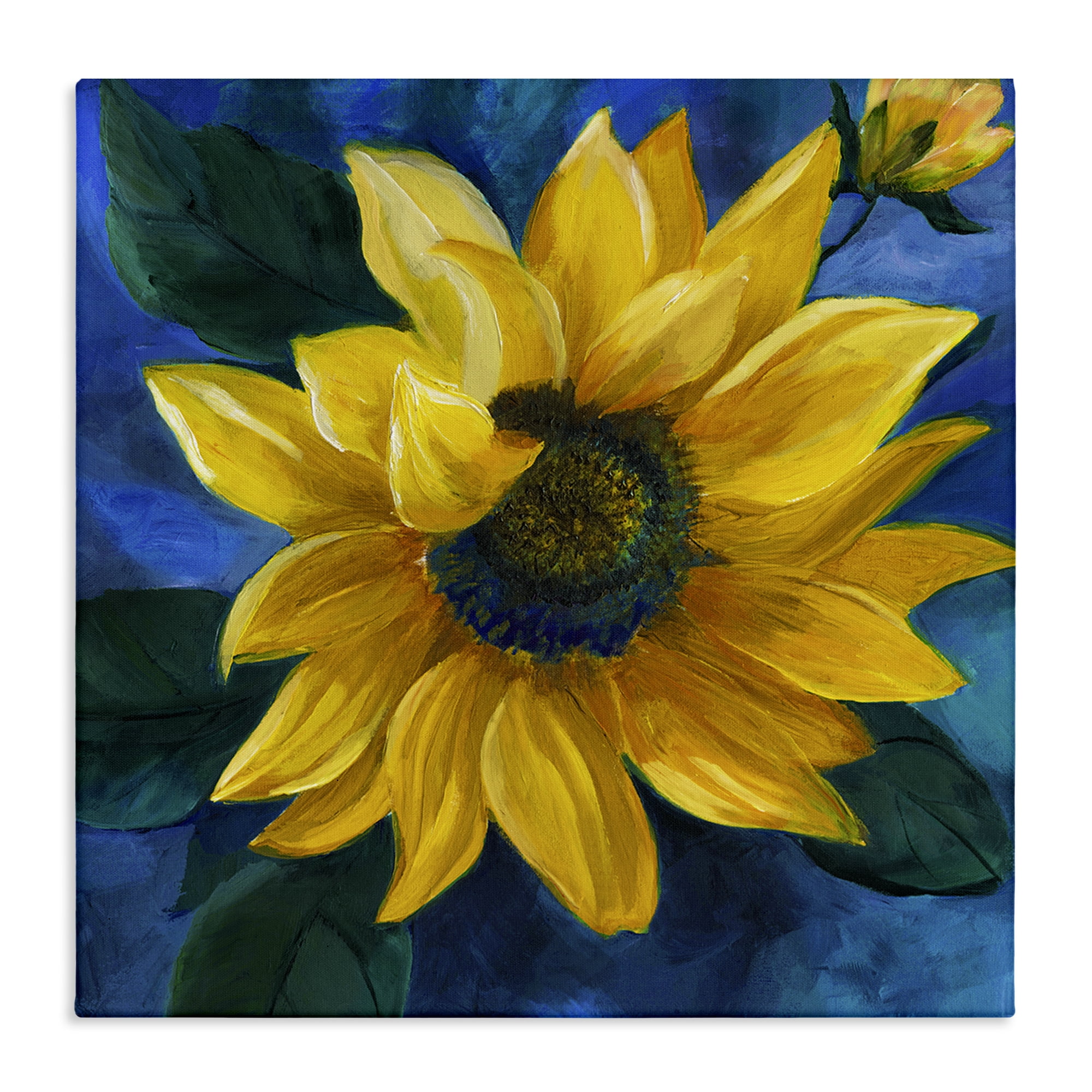 Stupell Industries Sunflower Curling Petals Plants & Flowers Painting Wrapped Canvas Art Print Wall Art, 24 x 24