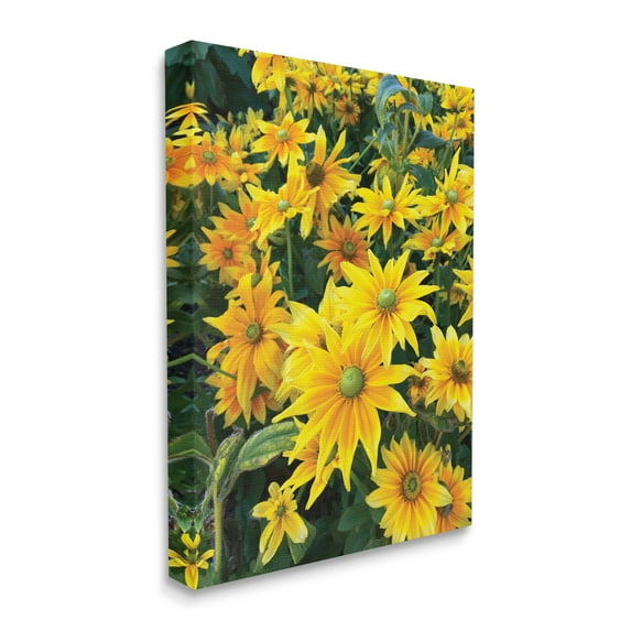 Stupell Industries Sunflower Field Blooming Green Bulbs Yellow Petals, 36 x 48, Designed by Sarah Jane