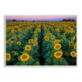 thumbnail image 1 of Stupell Industries Sunflower Field Rows at Sunset Farm Photography Graphic Art Unframed Art Print Wall Art, 13x19, by John Gavrilis, 1 of 6