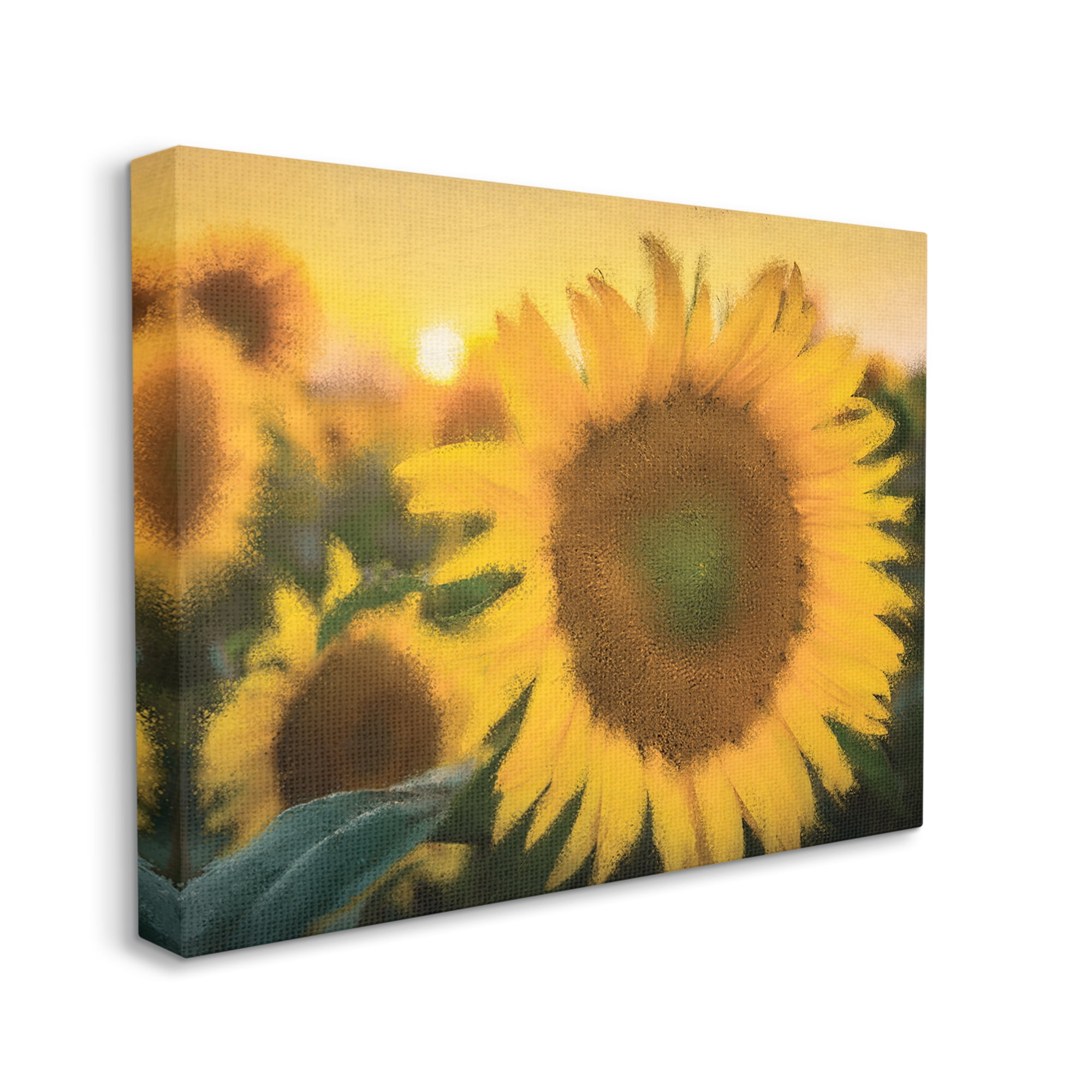 Stupell Industries Sunflower Field Sunrise Realistic Soft Edges,36 x 48,Designed by Kim Allen